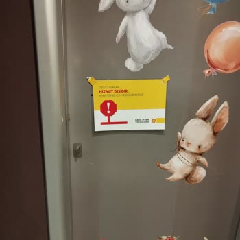 Shell Kapalı Çocuk Tuvaletleri