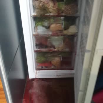 Arçelik Altus-al 609 Deepfreze M Bozuldu. Tüm Ürünlerim Çöp Oldu.