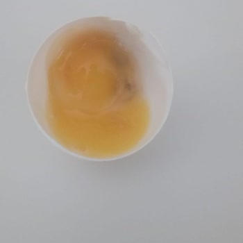 Gimsa Bozuk Ve Tarihi Geçmiş Ürünler