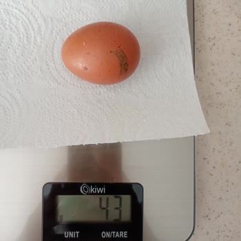 Tire Organik Gıda Ürünleri Gramaj Yanıltması Yanlış Boy Ürün