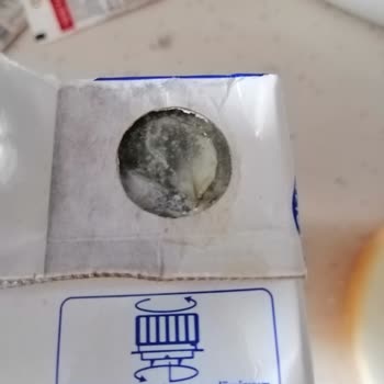 Dost Sütten Küf Ve Kurt Çıkması