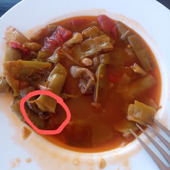 Park Ulu Dinlenme Tesisleri Hijyen Hijyen Hijyen.