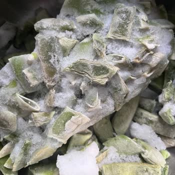 Feast Ürünün Bozuk Çıkması