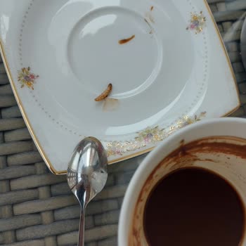 Kocatepe Kahve Evi Kahvede Kurt Var!