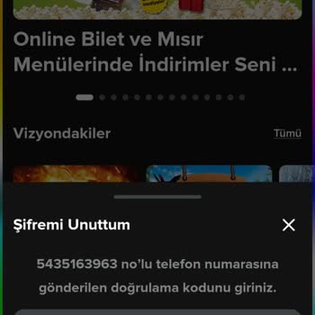 Paribu Cineverse Üye Giriş Problemi