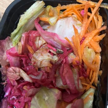 Sevim Lokantası Salatanın İçinden Böcek Çıktı