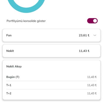 QNB Finansinvest Hesabımda Ebebek Hissesi Gözükmüyor