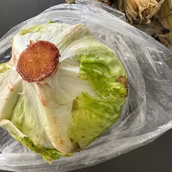 Migros Bozuk, Çürümüş, Tarihi Geçmiş Ürünler