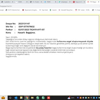 Türk Hava Yolları Valiz Hasarı