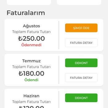 Gıbırnet Faturadaki Aylık Artış