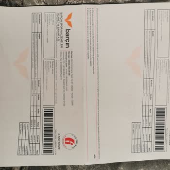 Barçın Spor Teşhir Ürün Koşu Ayakkabısı