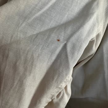 Ahel Tasarım Hem Aşırı Defolu Ürün Geldi Hem De Yardımcı Olmuyorlar