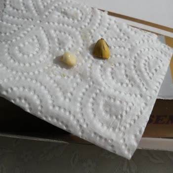 Baklavacı Şemsettin Fıstık Kabuklu Baklavada Sorun