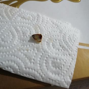 Baklavacı Şemsettin Fıstık Kabuklu Baklavada Sorun