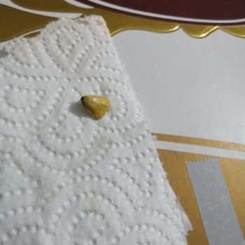 Baklavacı Şemsettin Fıstık Kabuklu Baklavada Sorun