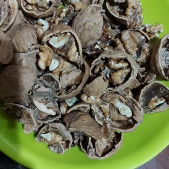 Şok Marketler Kabuklu Ceviz Kurtlu Ve Bozuk