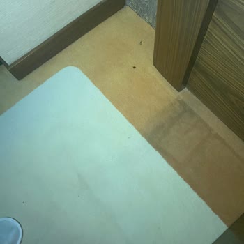Nuhun Gemisi Otel Mağduriyeti