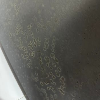 Beko Buzdolabı Kapak Paslanması