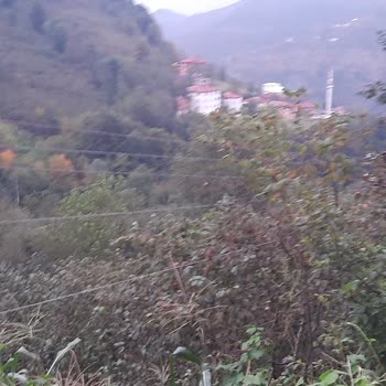 YEDAŞ Tellerde Sarkıklık Ve Teller Eski