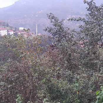 YEDAŞ Tellerde Sarkıklık Ve Teller Eski