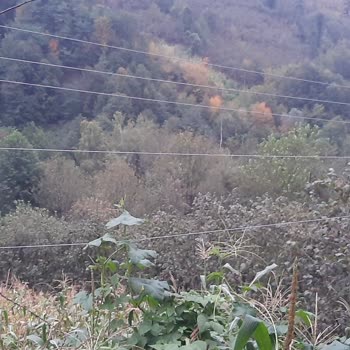 YEDAŞ Tellerde Sarkıklık Ve Teller Eski