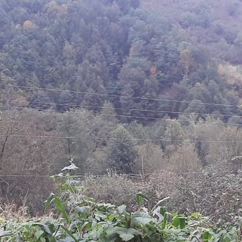 YEDAŞ Tellerde Sarkıklık Ve Teller Eski