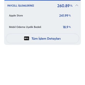 Apple Airbrush Yıllık Ücret Aldı