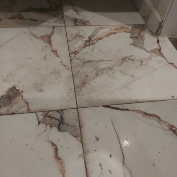 Grand Cortez Resort Hotel Pişmanlık