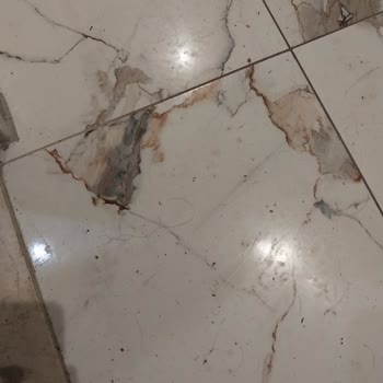 Grand Cortez Resort Hotel Pişmanlık