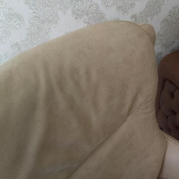 Öğretmenler Mobilya Potluk Olan Koltuk