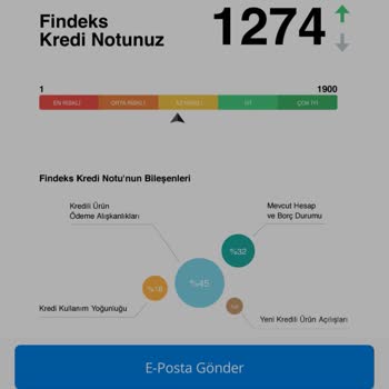 Findeks Puanı Gözükmüyor Borç Gözüküyor