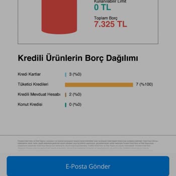Findeks Puanı Gözükmüyor Borç Gözüküyor