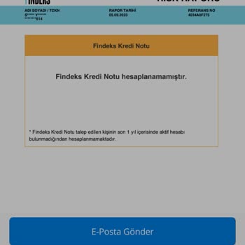 Findeks Puanı Gözükmüyor Borç Gözüküyor