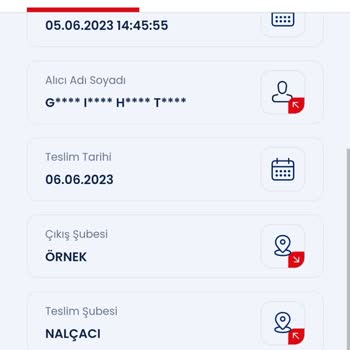 Gıbırnet Gıbır İnternet: Oyalama Ve Fatura Sorunu