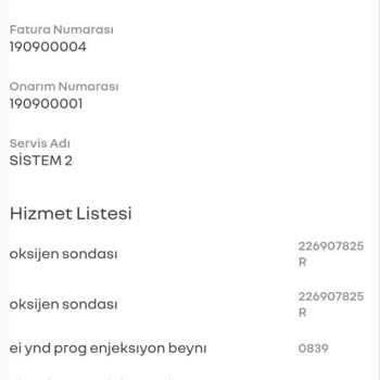 Renault Talisman Kronik Egzoz Emisyonu Kontrol Edin Arızası