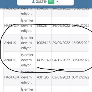 SGK SB Analık Ödemesi