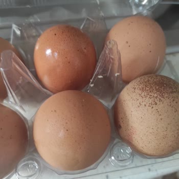 A101 Organik Yumurta Kurtlu Çıktı
