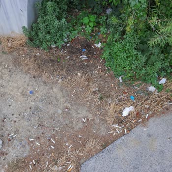 Beylikdüzü Belediyesi Beylikdüzü Korupark Çöp İçinde