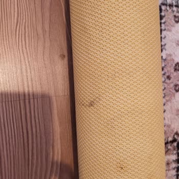 Papatya Halı Yıkama (Torbalı) Halı Böyle Mi Yıkanır?