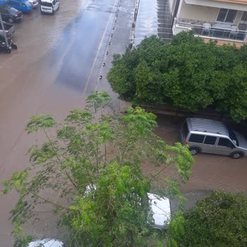 Didim Belediyesi Mazgal Eksikliği İle Su Gideri Yapılması