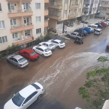 Didim Belediyesi Mazgal Eksikliği İle Su Gideri Yapılması