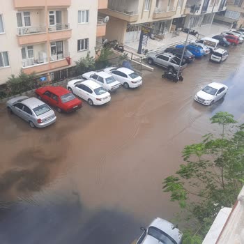 Didim Belediyesi Mazgal Eksikliği İle Su Gideri Yapılması