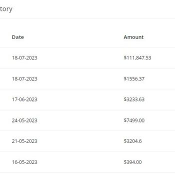 Shoppingants.com Durumun Gerçek Yansıması