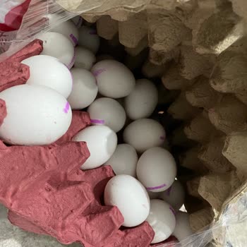 Migros Sanal Market Kokmuş Sipariş Teslimi