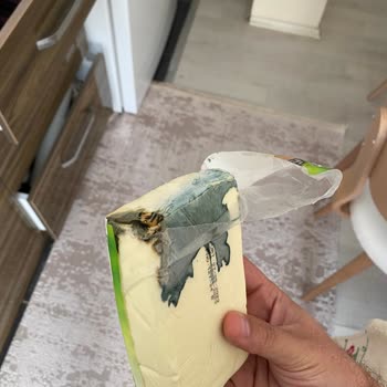 Ekici Peynir Ekici Taze Kaşar Hemen Küflendi