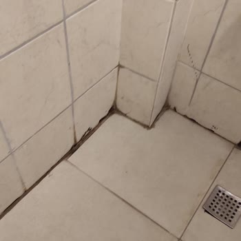 ETS Acentesinin Önerdiği Otel Çok Kötü Çıktı