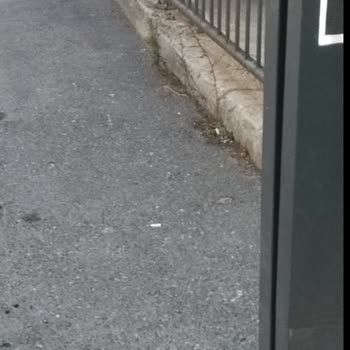 Çamsan Park Alışveriş Ve Yaşam Merkezi AVM İlgisiz, Duyarsız