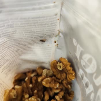 Gold Harvest Master Farm Ceviz İçi