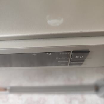 Vestel Bulaşık Ve Çamaşır Makinesi Renk Atması