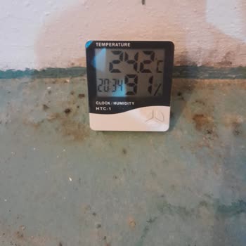 Nemeks Firması Nemi Kurutmadı